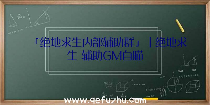 「绝地求生内部辅助群」|绝地求生